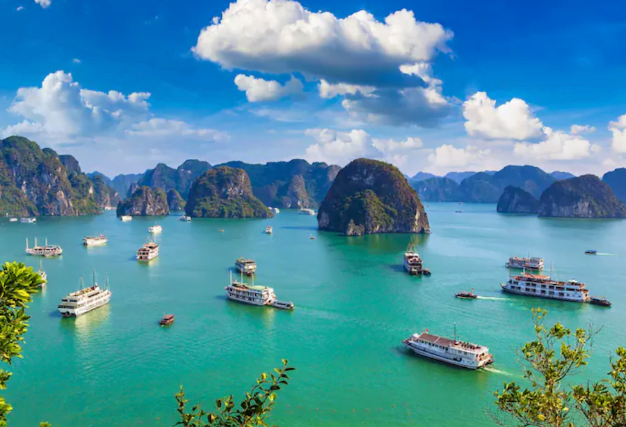 vietnam expatriation