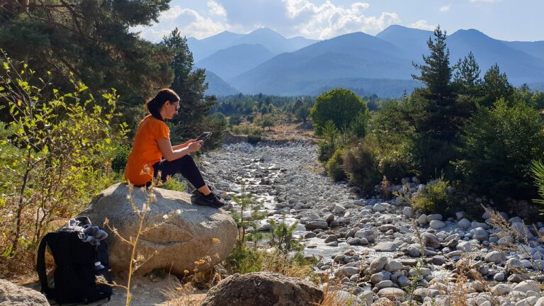 women, working, digital