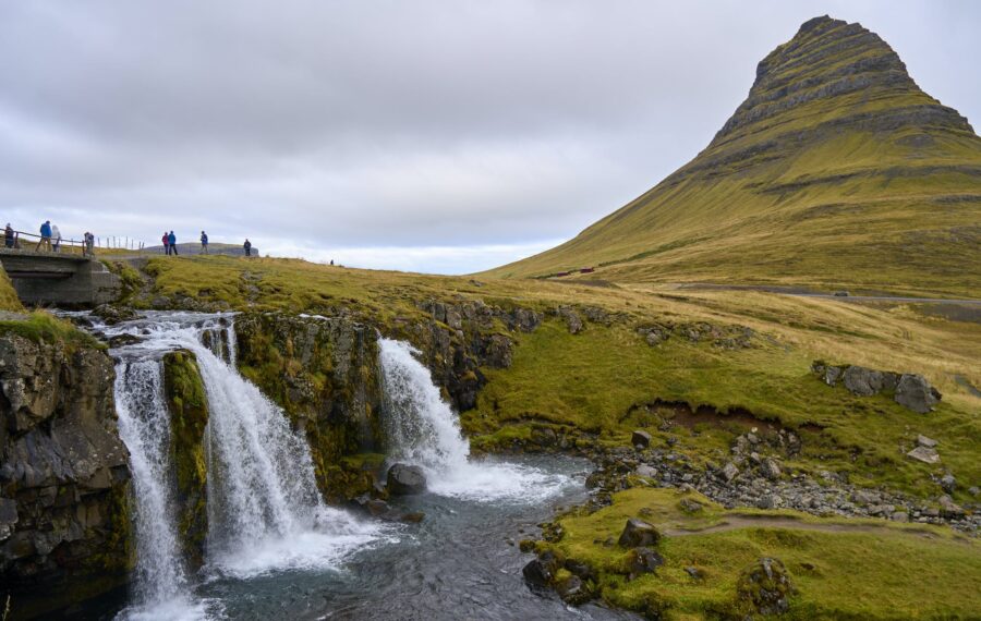 Free stock photo of daylight, fall, frosty