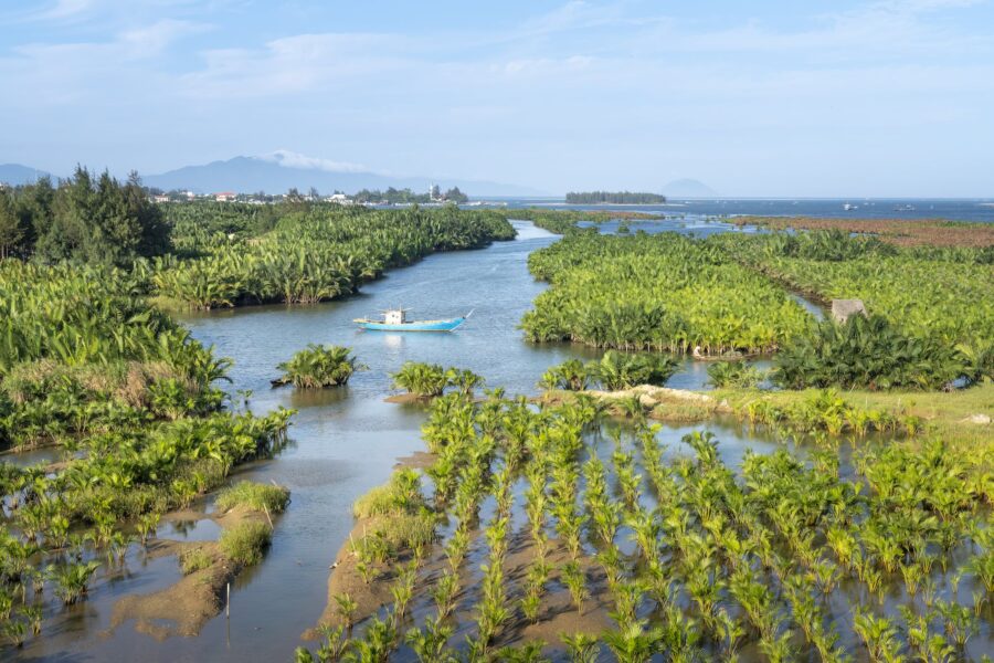 Lush greenery growing in calm water of Amazon