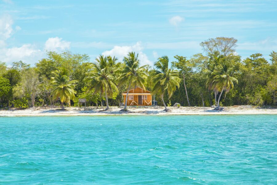 Photo of Wooden Cabin on Beach Near Coconut Trees