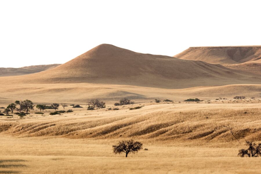 yellow landscape in namibia