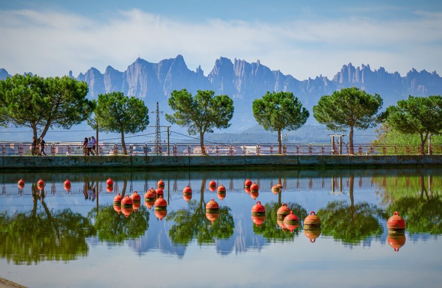 landscape, nature, park