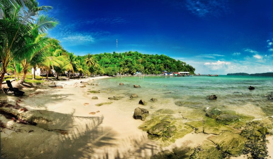 green palm trees on beach shore during daytime
