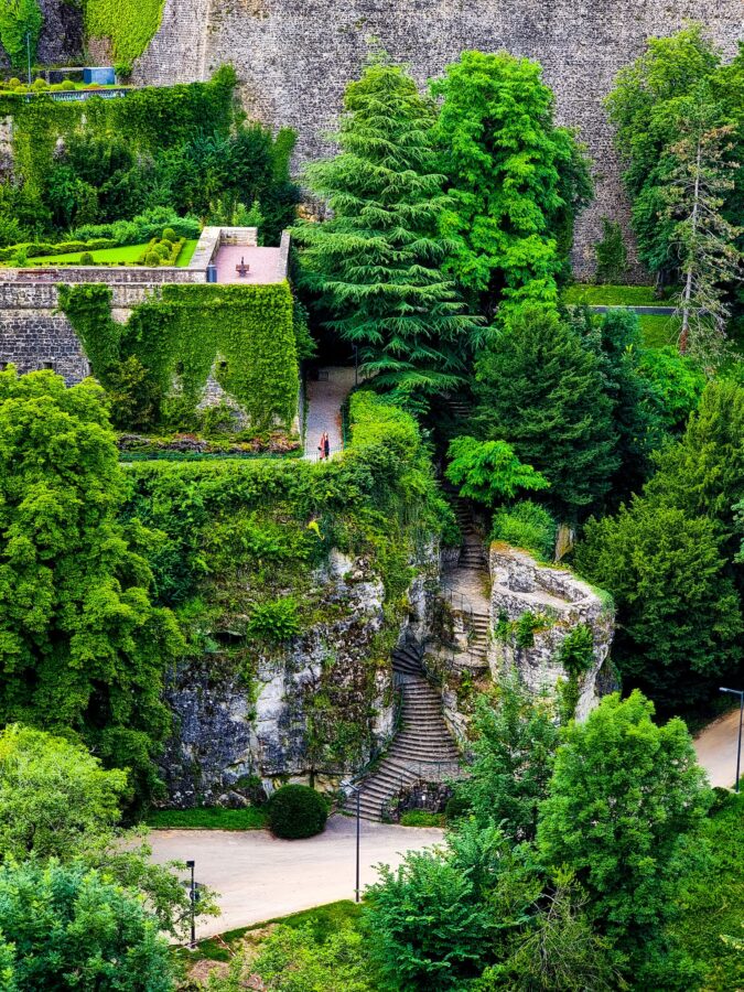 An Old Castle Surrounded with Green Plants 