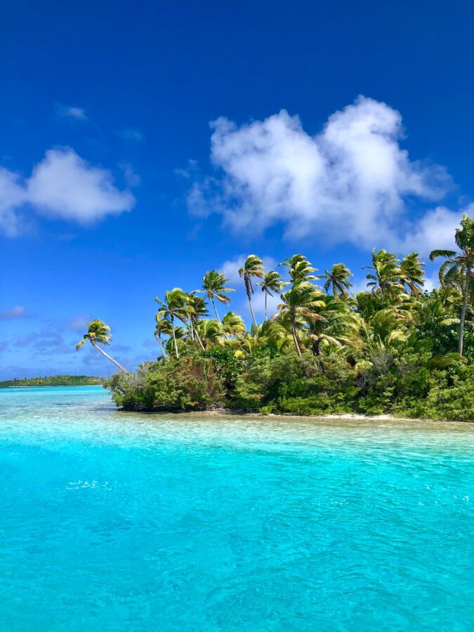 green palm trees on beach under blue sky and white clouds during daytime