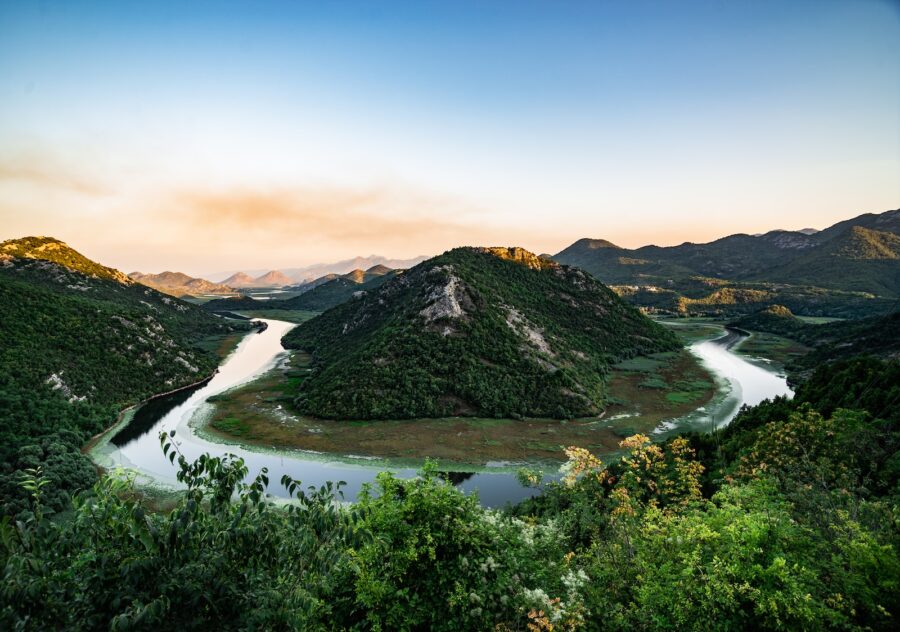 green trees on mountain near river during daytime