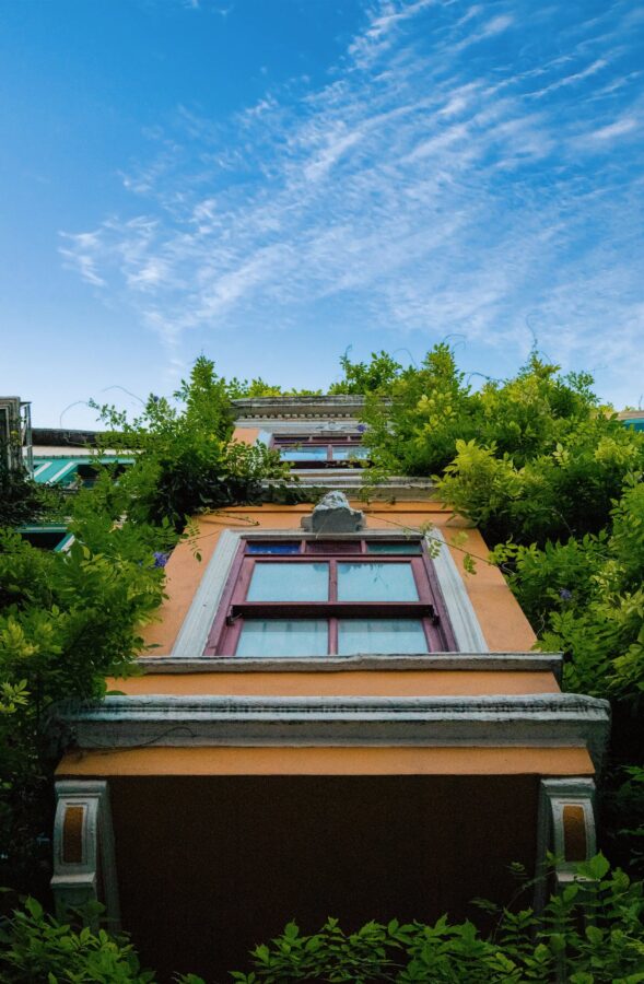 photo by mustafa kalkan