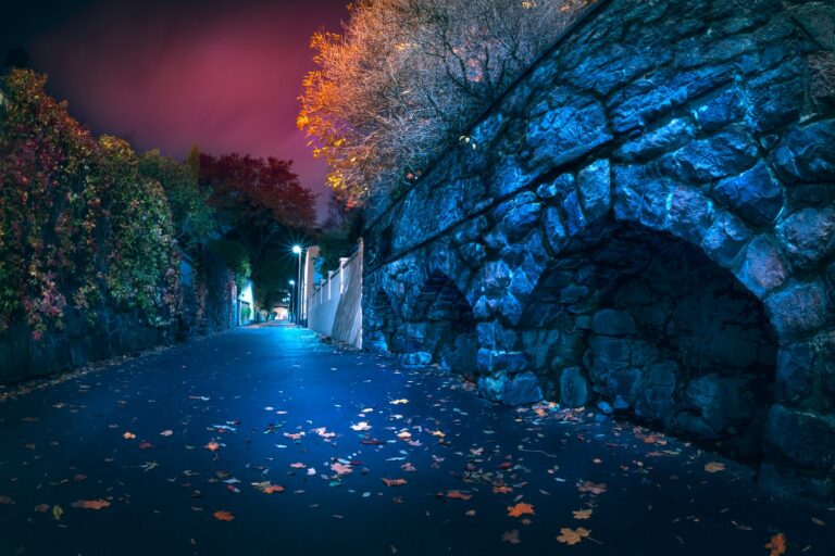 gray concrete pathway between green trees during daytime