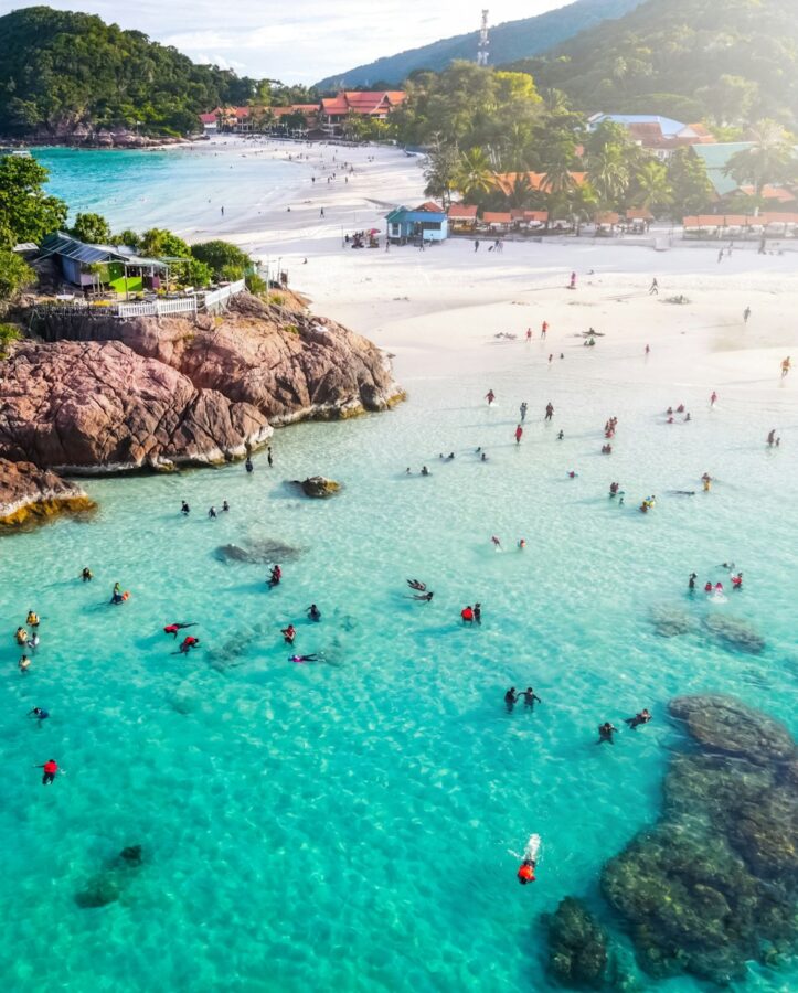 people on beach during daytime