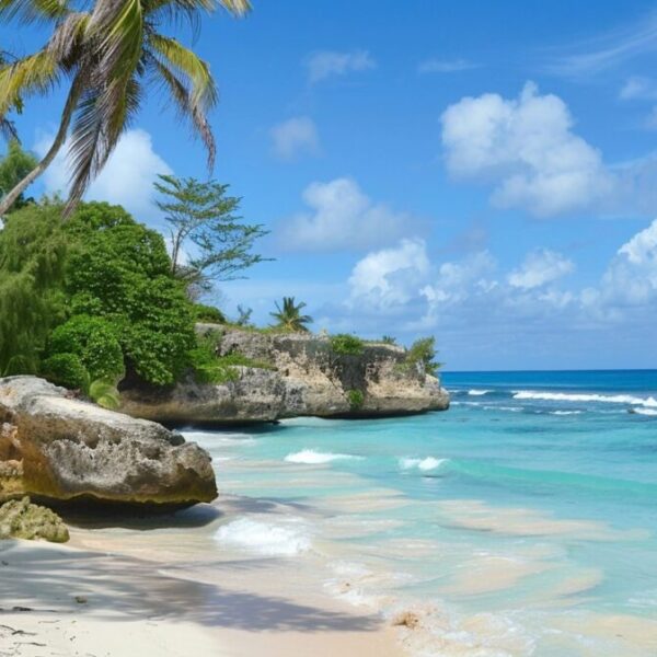 barbados amazing landscapes e7efd228 bea1 4ea0 a72d 9e835e8a501e