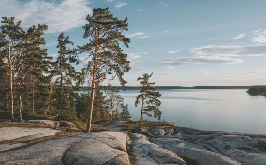 serene nature and lake shot tallin region
